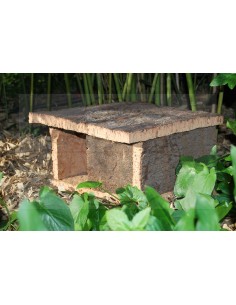 Hedgehog Selter Squared