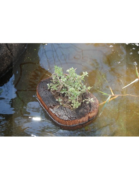 Cork Island Organic-S