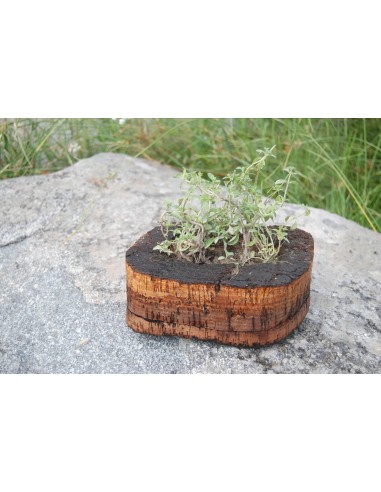 Cork Island Organic-S