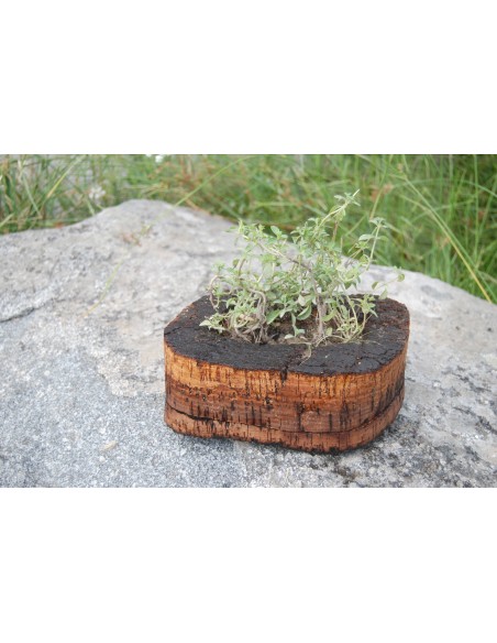 Cork Island Organic-S