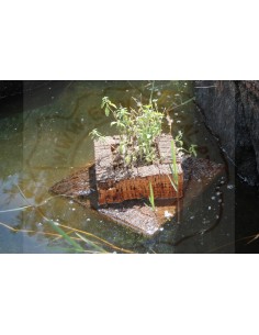 Cork Island Classic-S 2