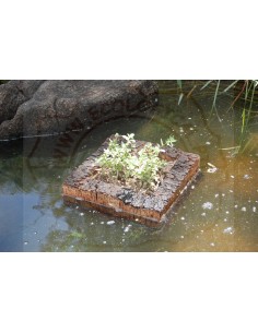 Cork Island Classic-M