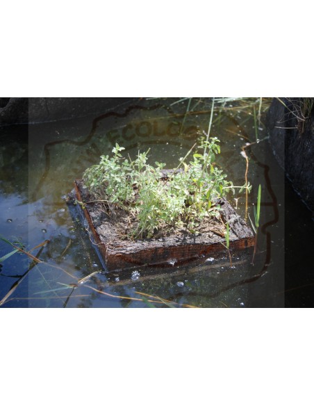 Cork Island Classic-L